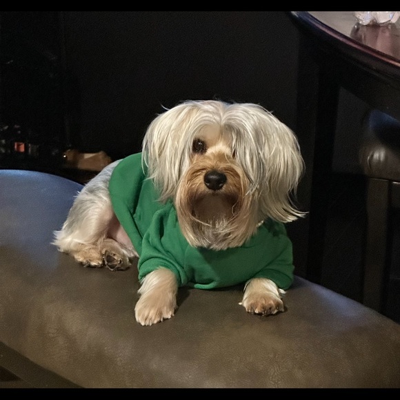 Meet your Posher, Armesha - Picture 1 of 1